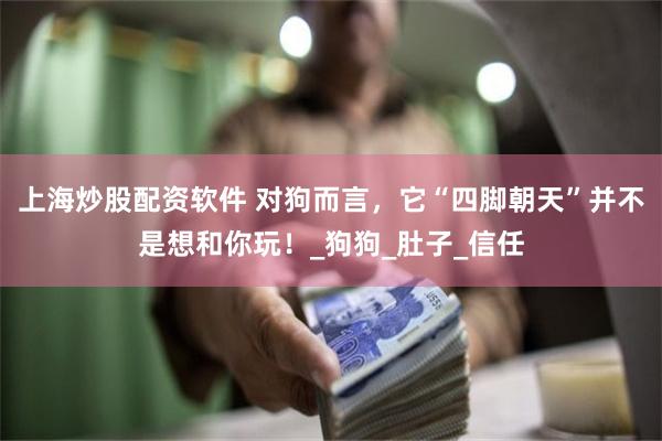 上海炒股配资软件 对狗而言，它“四脚朝天”并不是想和你玩！_狗狗_肚子_信任