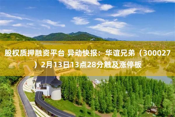 股权质押融资平台 异动快报：华谊兄弟（300027）2月13日13点28分触及涨停板
