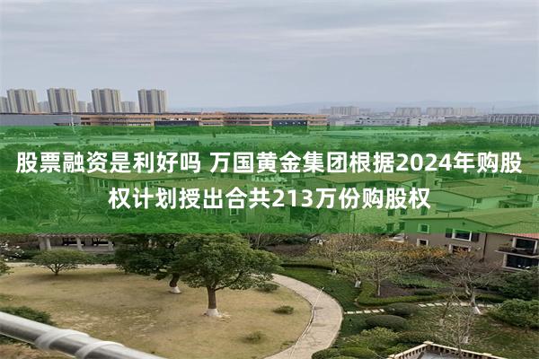 股票融资是利好吗 万国黄金集团根据2024年购股权计划授出合共213万份购股权