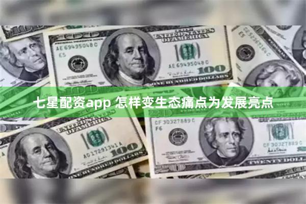 七星配资app 怎样变生态痛点为发展亮点