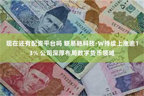 现在还有配资平台吗 联易融科技-W持续上涨逾13% 公司深厚布局数字货币领域
