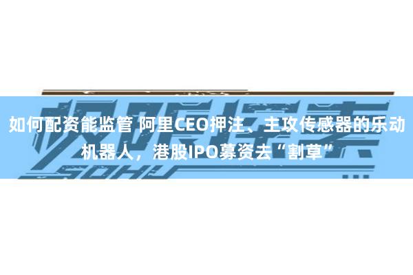 如何配资能监管 阿里CEO押注、主攻传感器的乐动机器人，港股IPO募资去“割草”