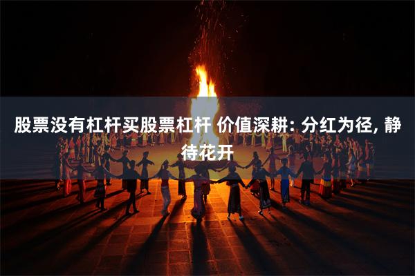 股票没有杠杆买股票杠杆 价值深耕: 分红为径, 静待花开