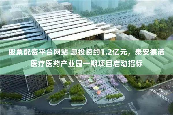 股票配资平台网站 总投资约1.2亿元，泰安德诺医疗医药产业园一期项目启动招标