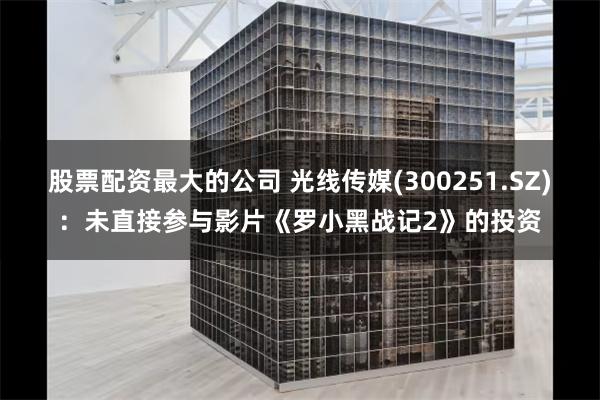 股票配资最大的公司 光线传媒(300251.SZ)：未直接参与影片《罗小黑战记2》的投资